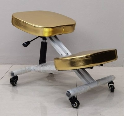 Ergonomic Chair - Gold - Courier Fee R165