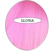 100G Glam Colour - Gloria