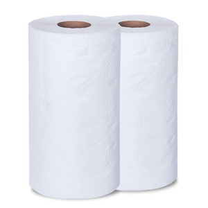 Paper Towels (2)