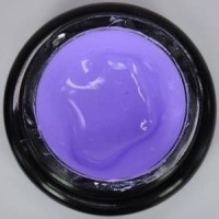 7ml Gel Liner - Purple